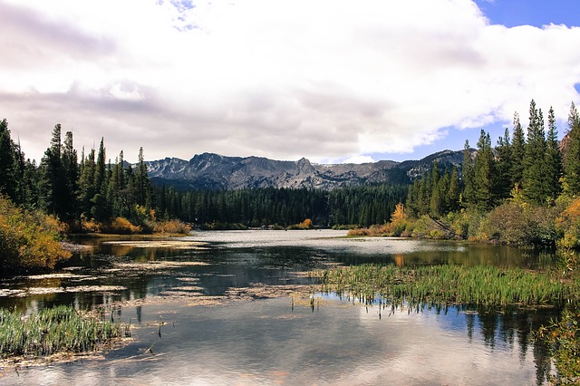 Las mejores zonas de Mammoth Lakes ¿Dónde hospedarse?